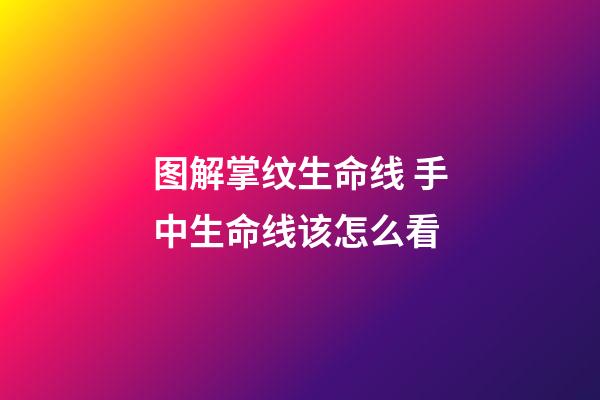 图解掌纹生命线 手中生命线该怎么看